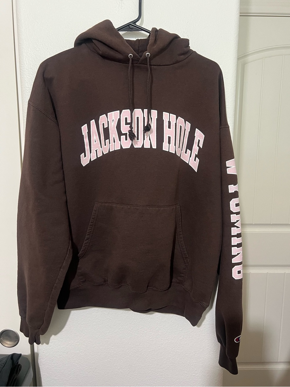 Champion Jackson Hole Wyoming Arch Logo Hoodie Brown & Pink Large